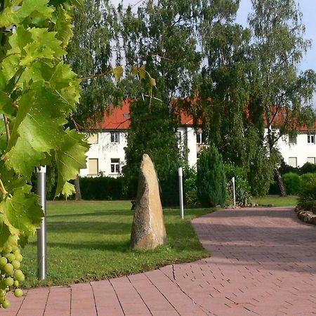 Christliche Gaestehaeuser Weinstrasse Neustadt an der Weinstraße Zewnętrze zdjęcie